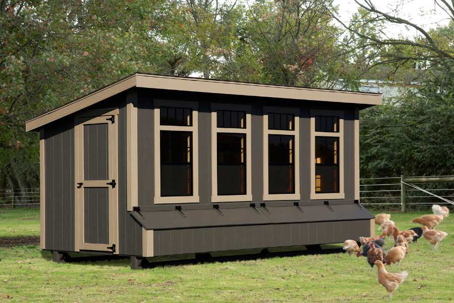 brown lean to coops with tan trim and four large windows with egg collection boxes beneath and chicken grazing in grass in front