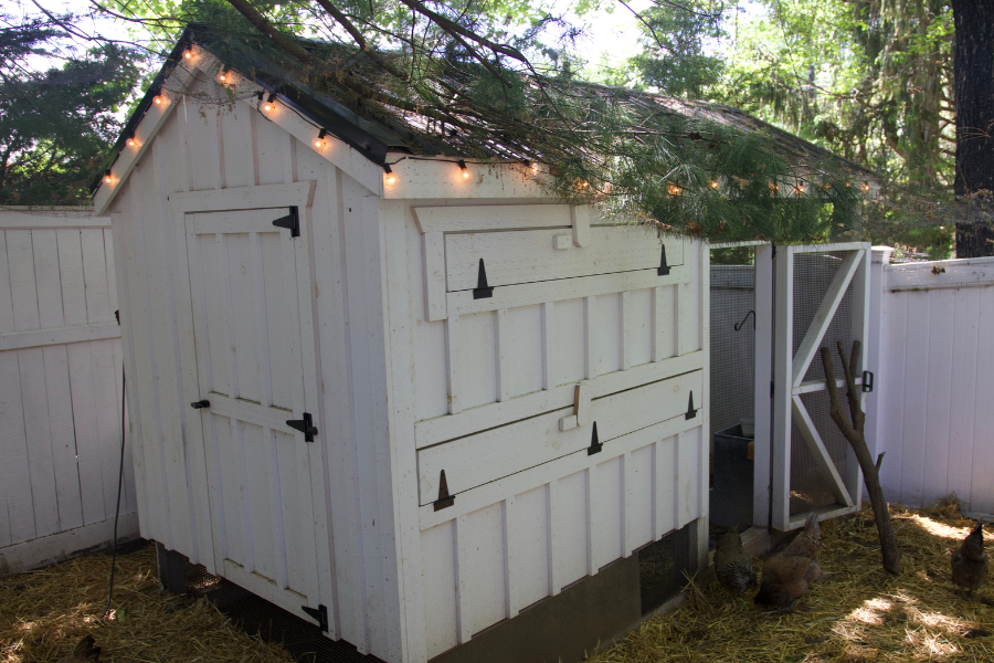 white chicken coop with attached run black metal roof and string lights around the top tucked in along white fence