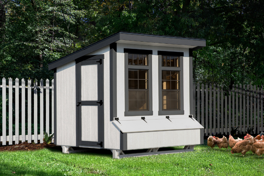 white modern lean to coop with black trim two large front windows and chickens grazing in grass in front