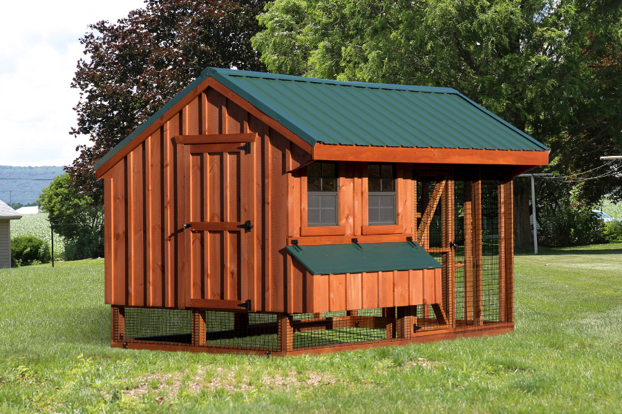 wooden combination chicken coops for sale in Morgantown WV with green metal roof two front windows with egg collection box with green lid