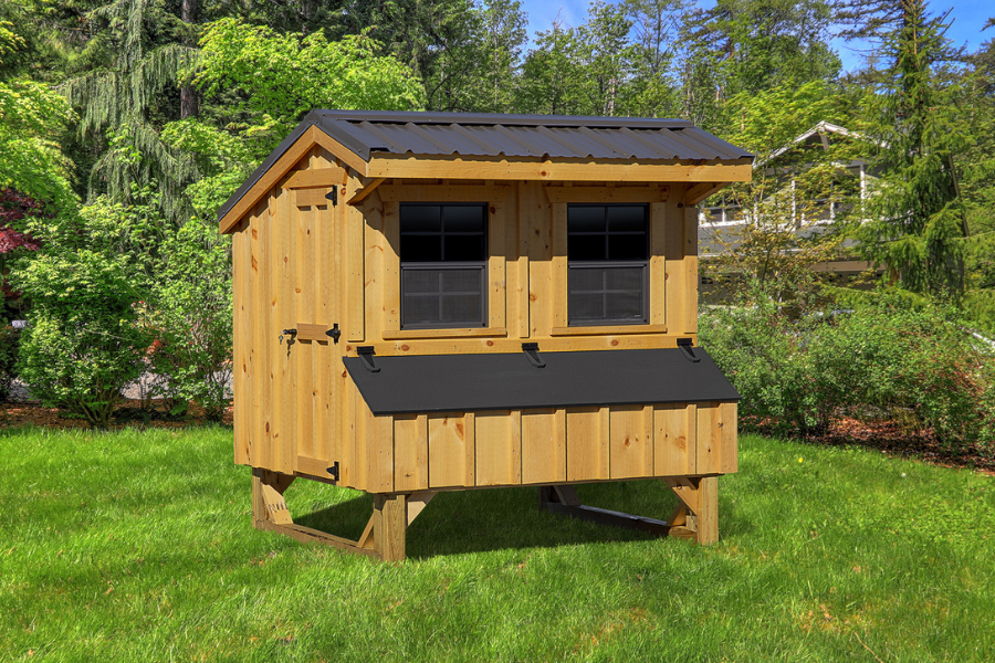 wooden quaker chicken coops for sale in Morgantown WV with black metal roof two windows and egg collection box with black lid