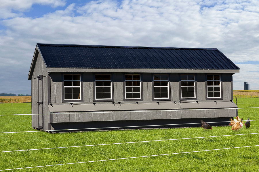 light gray and dark gray trimmed combination chicken coops for sale in Cheyenne WY with black metal roof 6 windows and three egg collection boxes