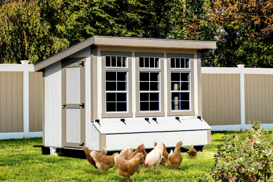 white and tan trimmed lean to coop with three large front windows and chicken grazing in grass in front