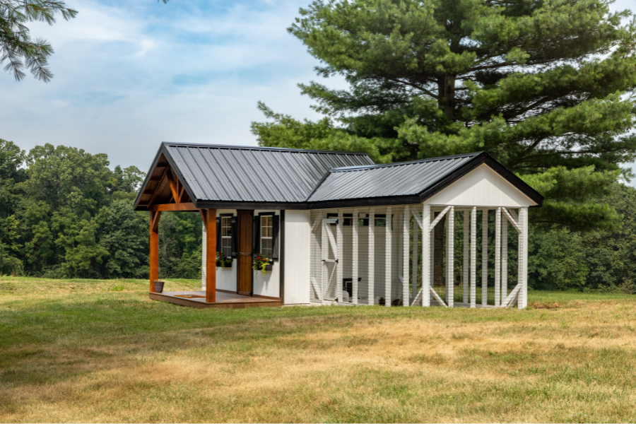 side view of white combination chicken coop with black trim and metal roofing plus attached run and wooden front porch