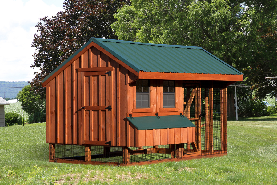 wooden combination chicken coop with green metal roof and lid on egg collection box below two windows on front