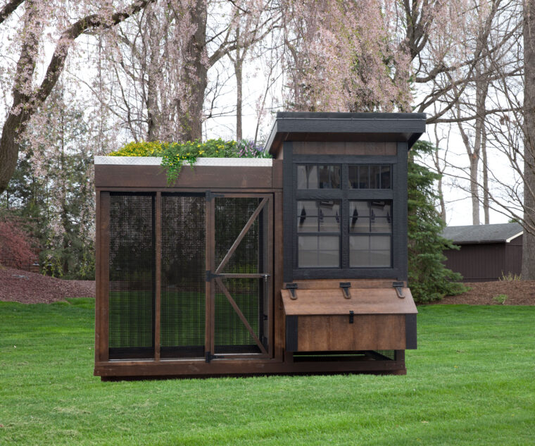 5x10 lean-to combination chicken coop
