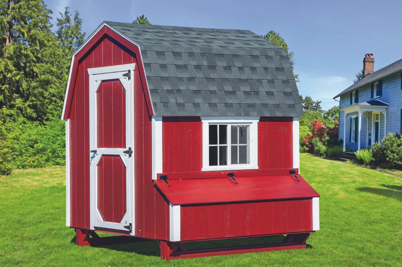 d66 6x6 chicken coop in pa