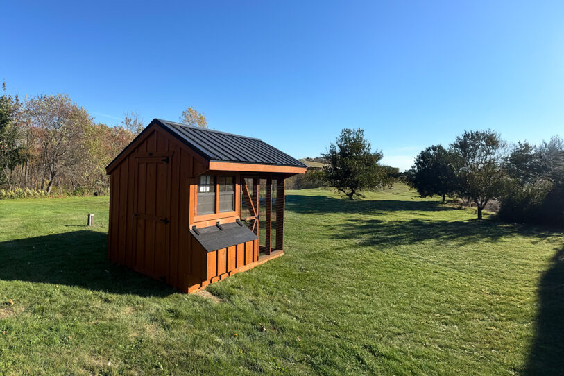 6x10 Combination Coop in backyard in pittsfield ME
