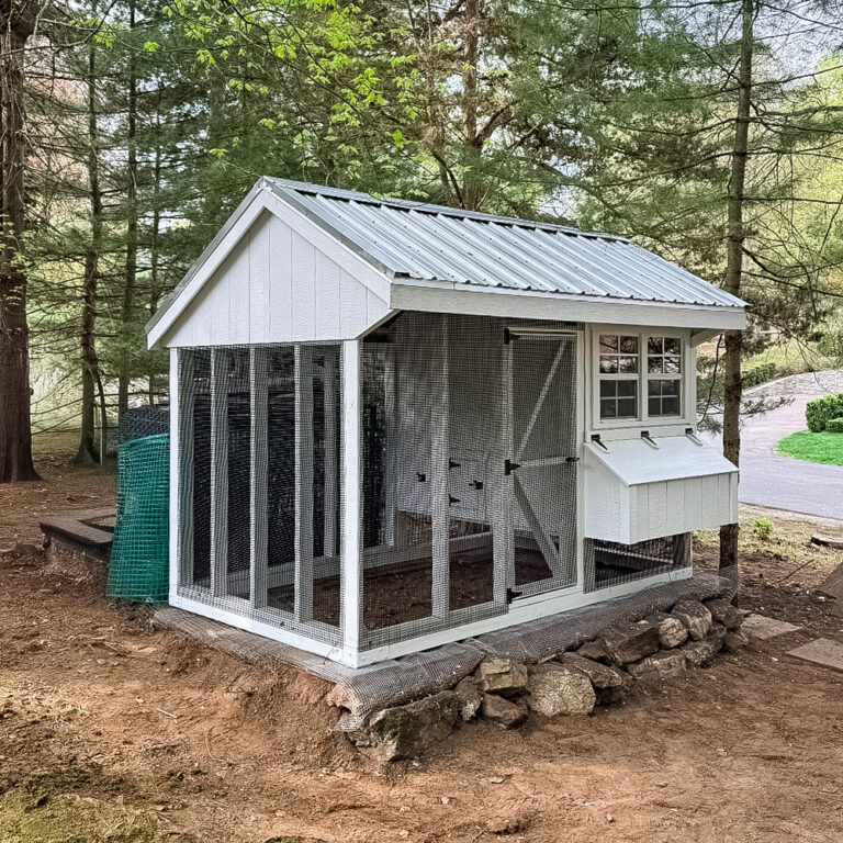 Front Corner View of 6x10 Quaker Combination Coop in West Port CT 1734
