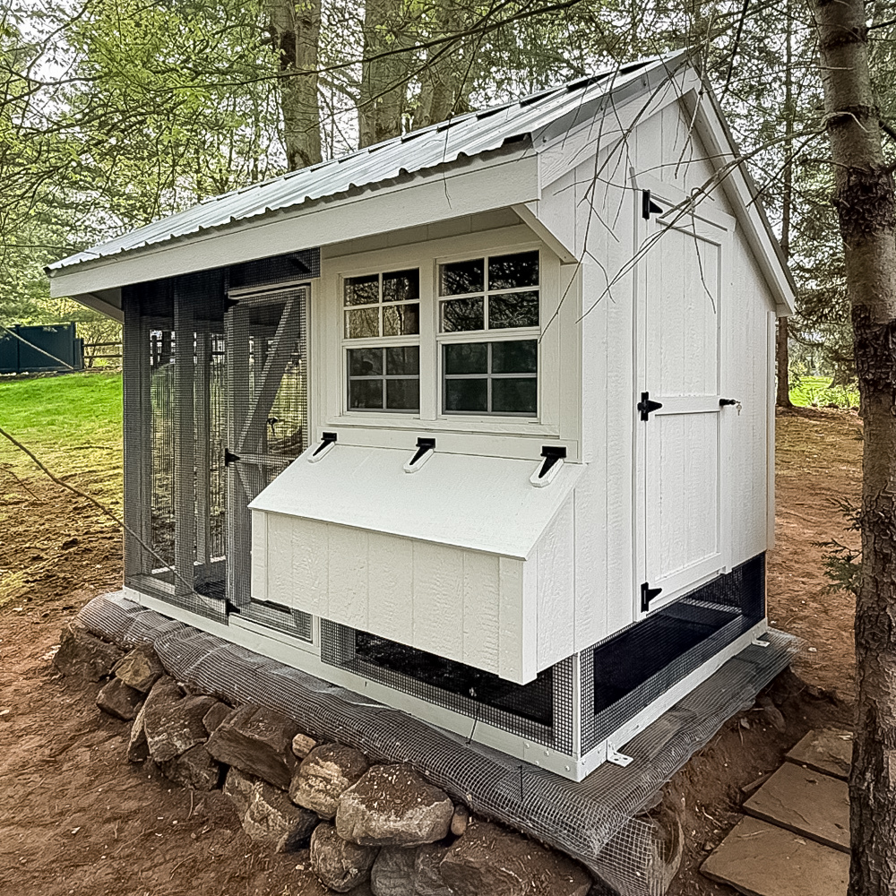 White 6x10 Quaker Combination Coop in West Port CT 1736