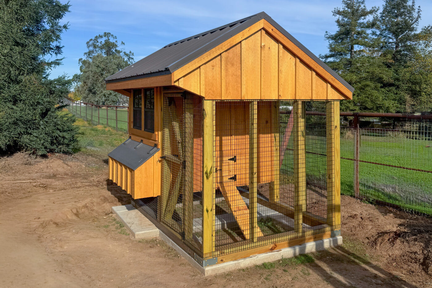 6x8 quaker combination chicken coop in wilton california