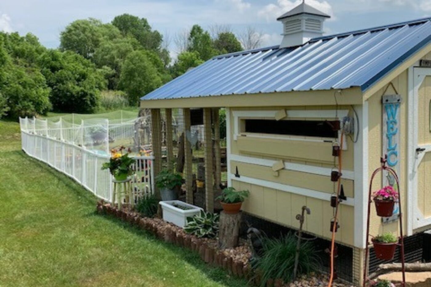 Amy's chicken coop