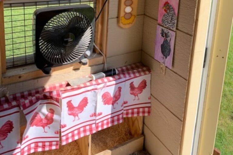 Amy's chicken coop (6)