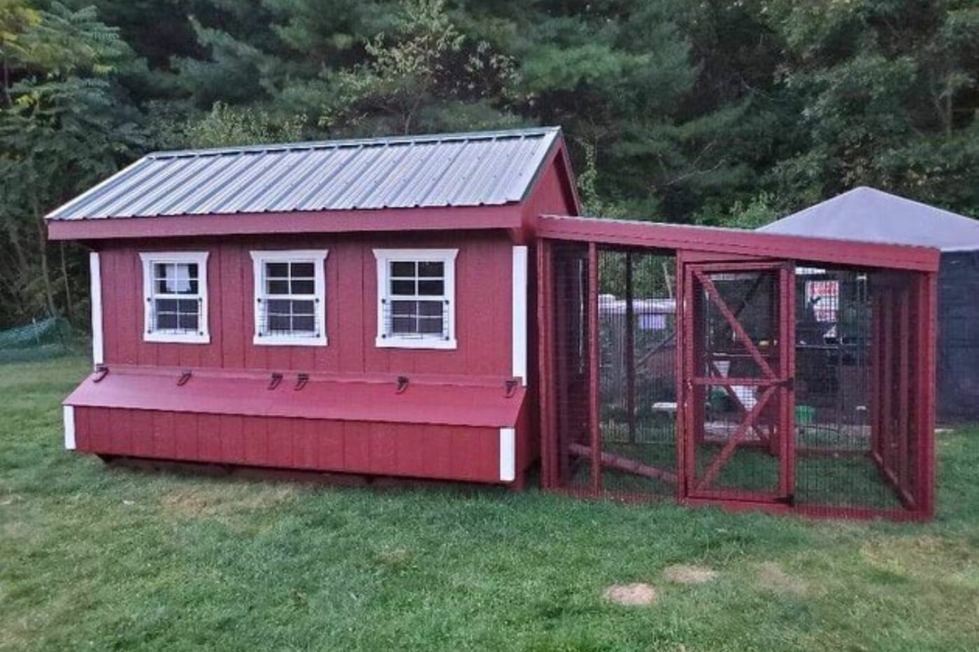 Dorothy's chicken coop
