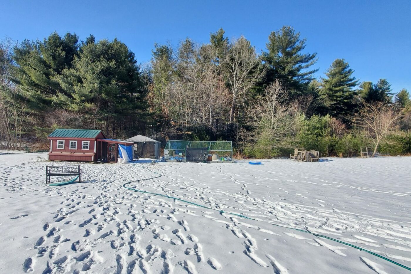 dorothy's large chicken coop (15)