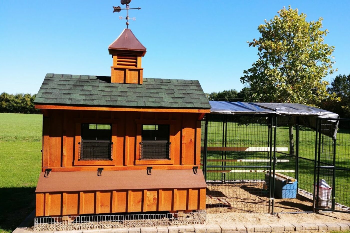 Jason's chicken coop