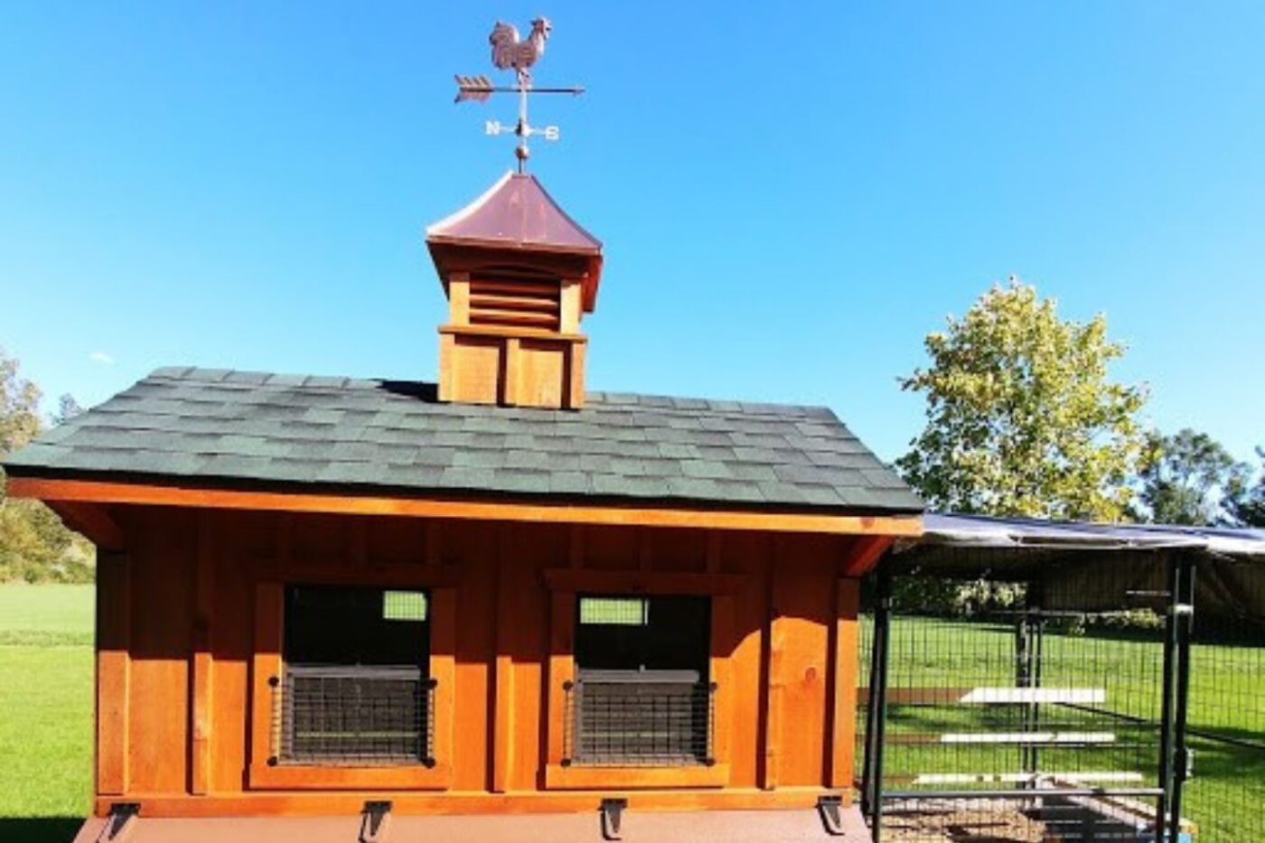 chicken coop in michigan (1)