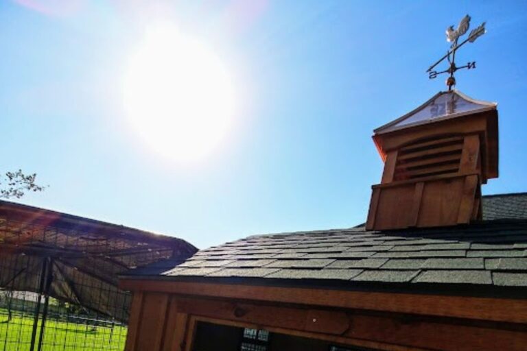 chicken coop in michigan (2)