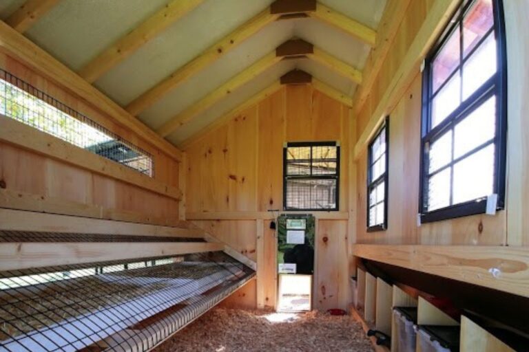 chicken coop in michigan (3)