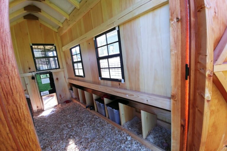 chicken coop in michigan (4)