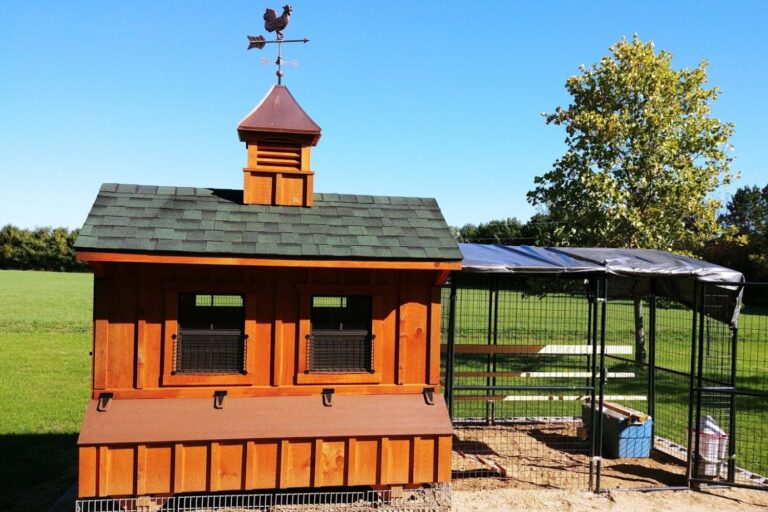 chicken coop in michigan (5)