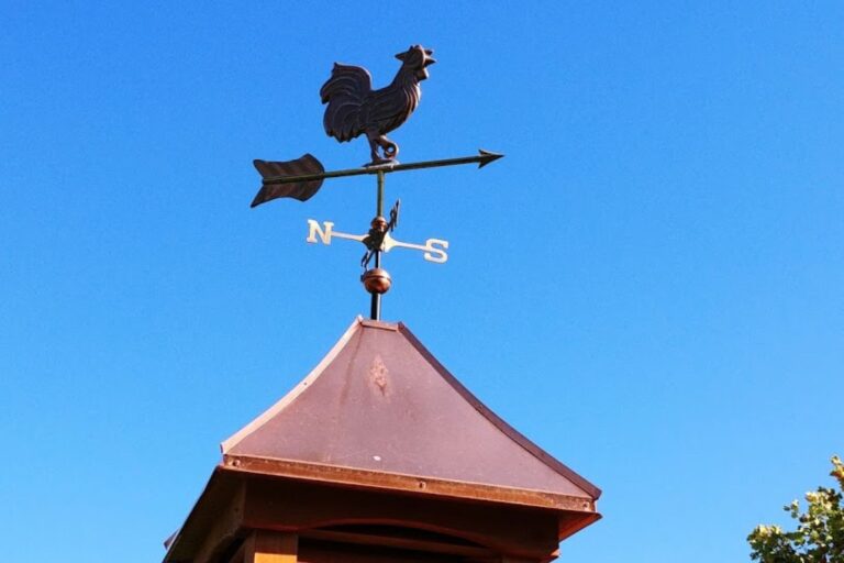 chicken coop in michigan (6)