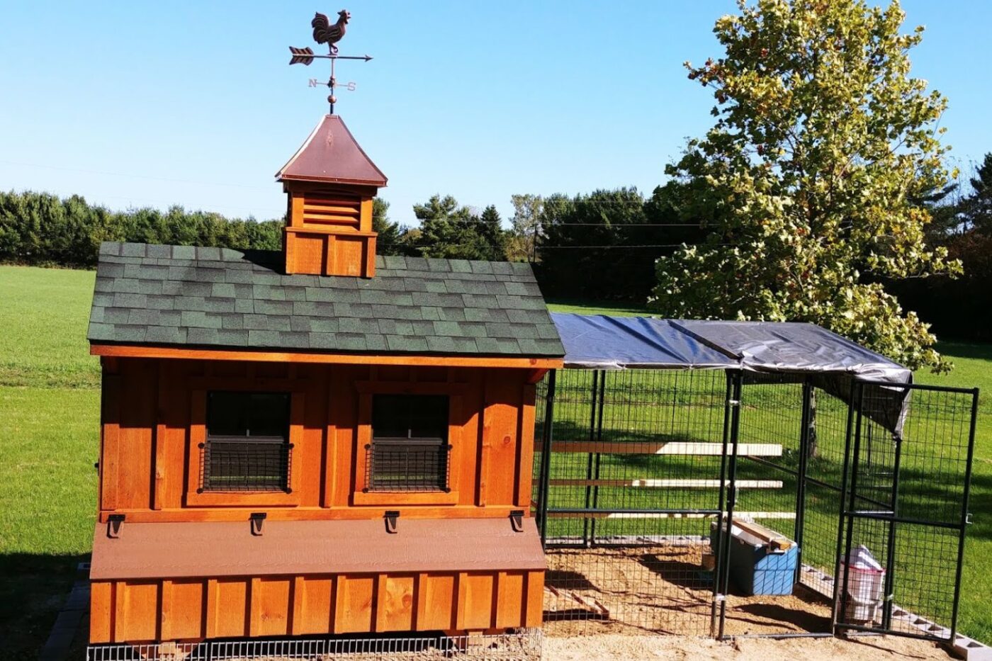 chicken coop in michigan (7)