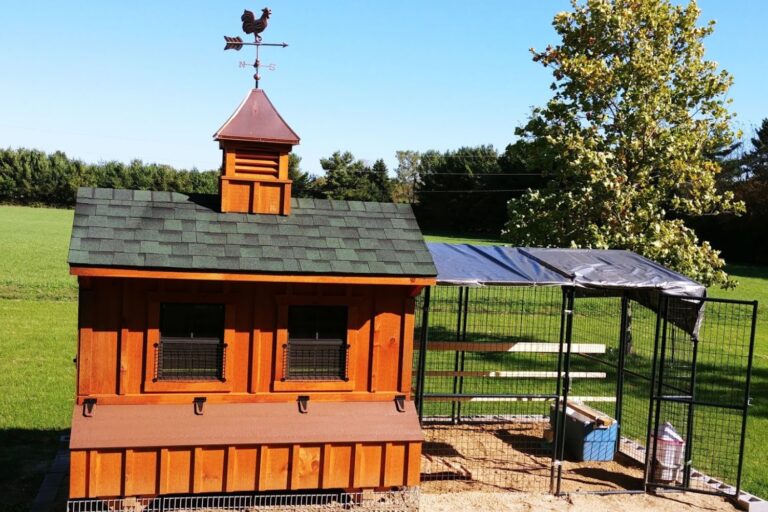 chicken coop in michigan (7)