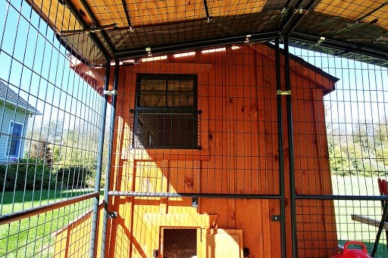 chicken coop in michigan