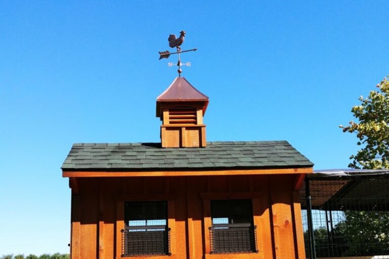 chicken coop in michigan (9)