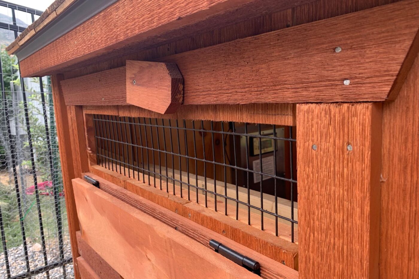 chicken coop in utah (10)