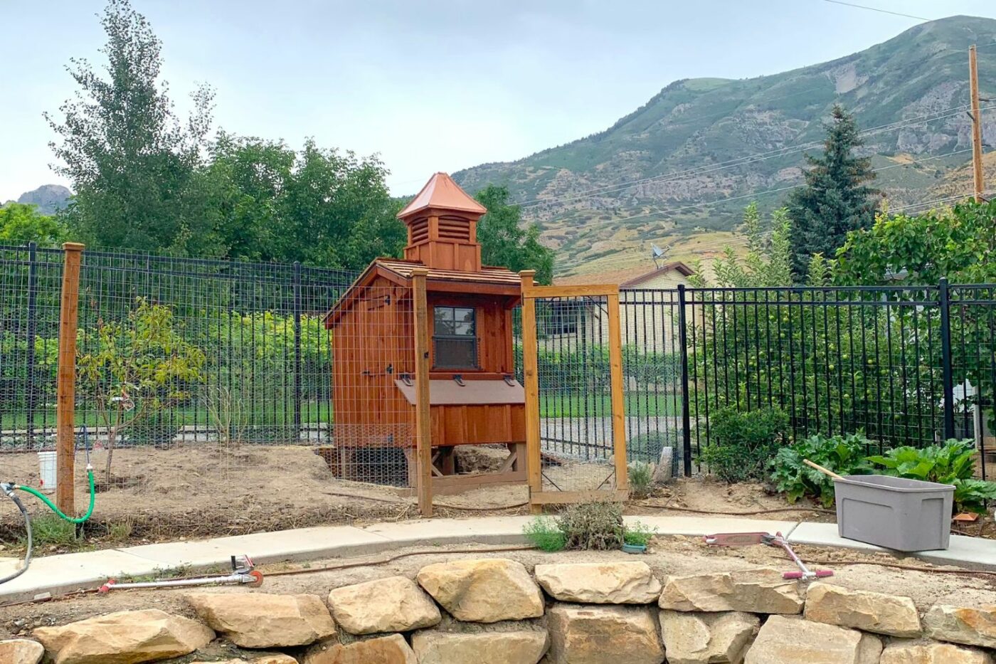 Matt's chicken coop (1)
