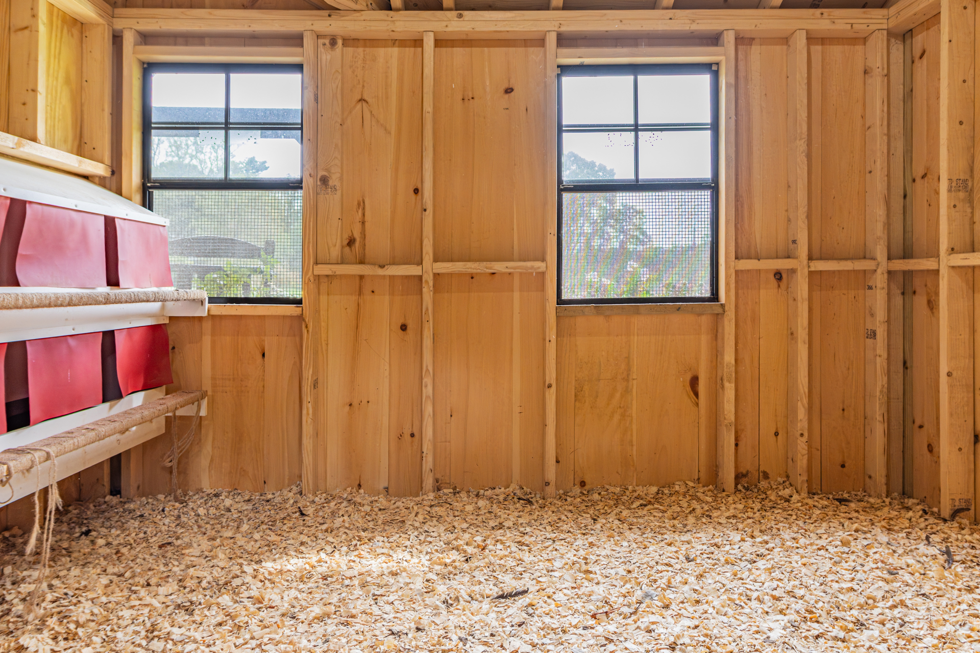 Windows inside 12x50 Custom Combination Coop