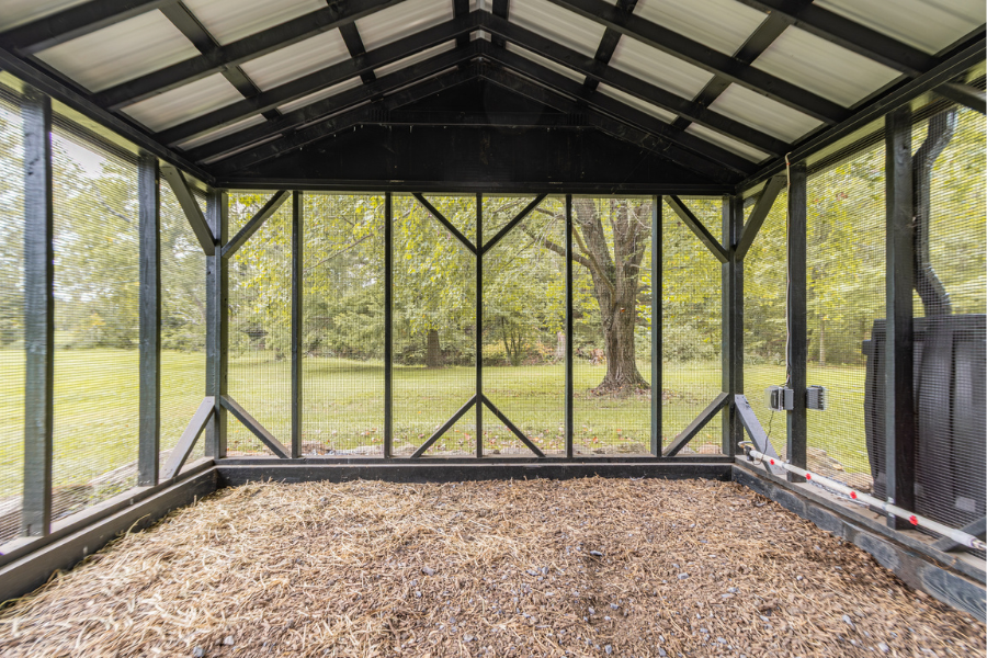 interior of attached run inside 12x50 custom chicken coop
