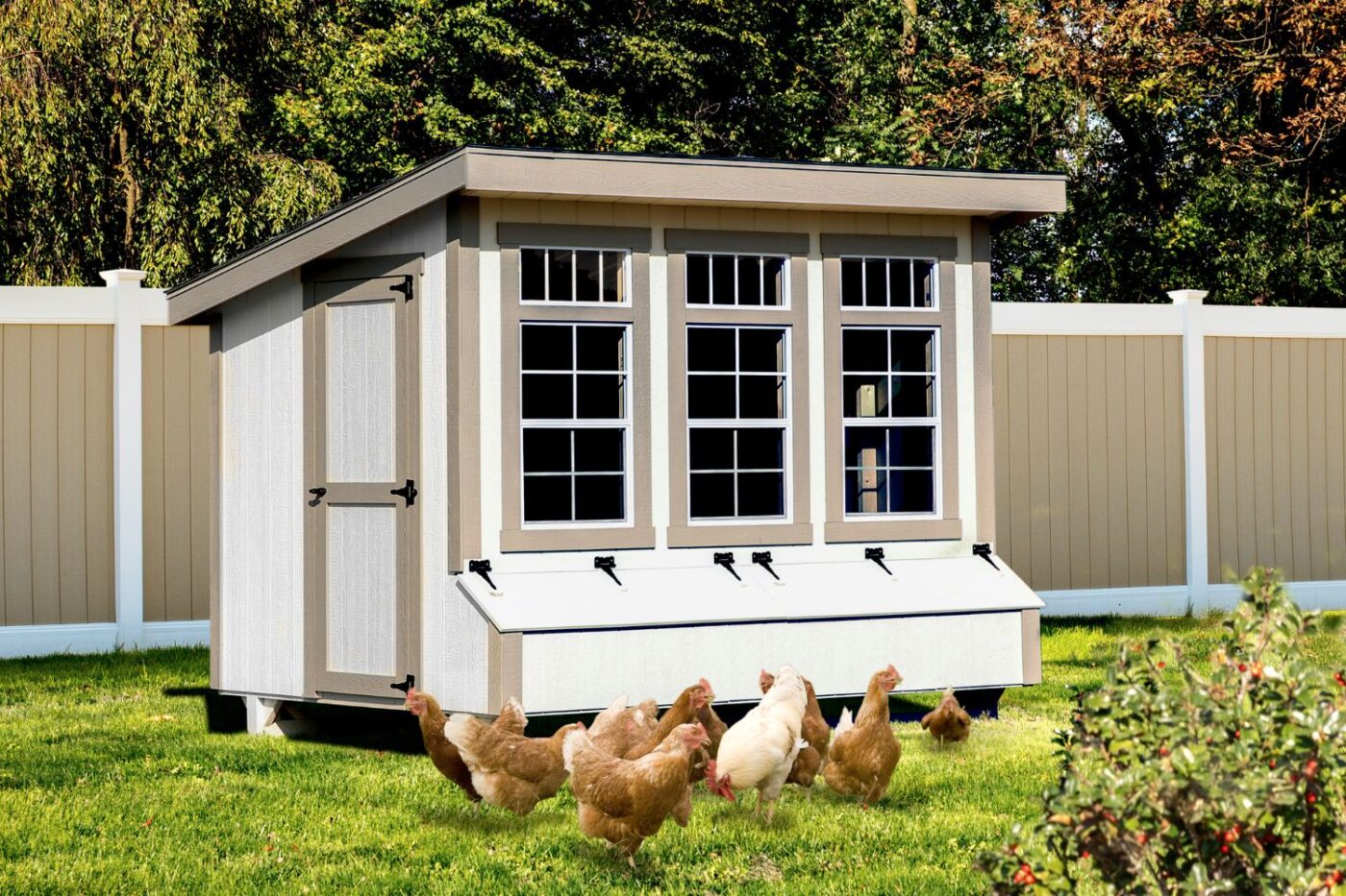 a lean-to coop with 10 nesting boxes