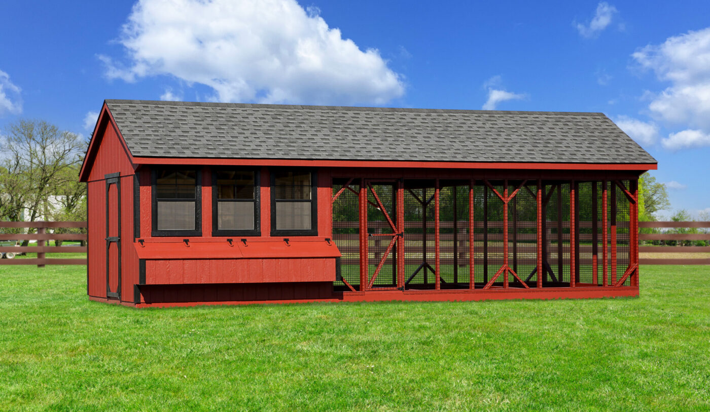 Q1028C chicken coops with 10 nesting boxes