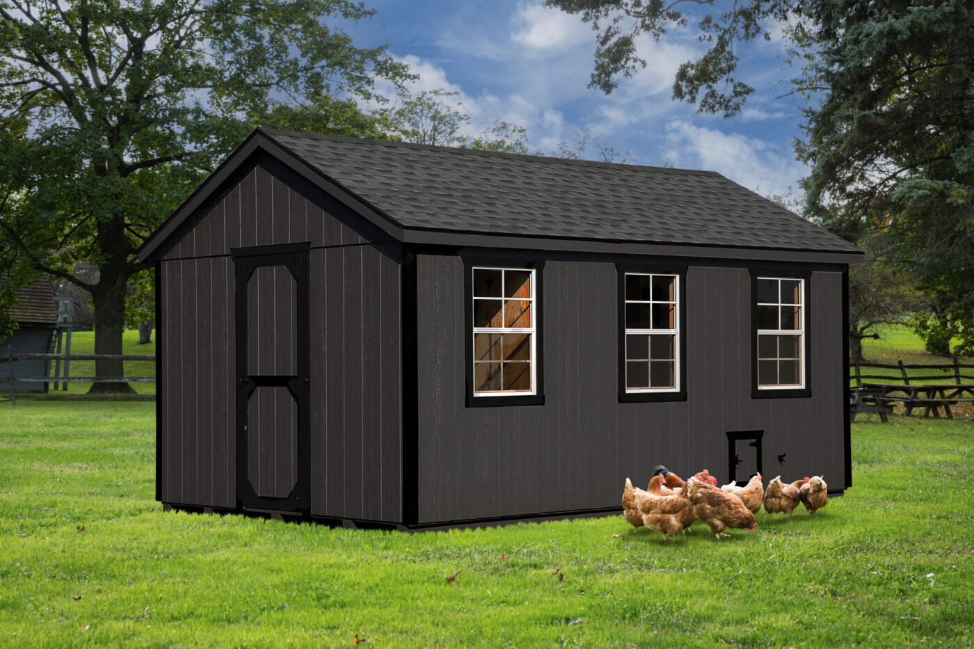 A1016 chicken coop with 12 nesting boxes