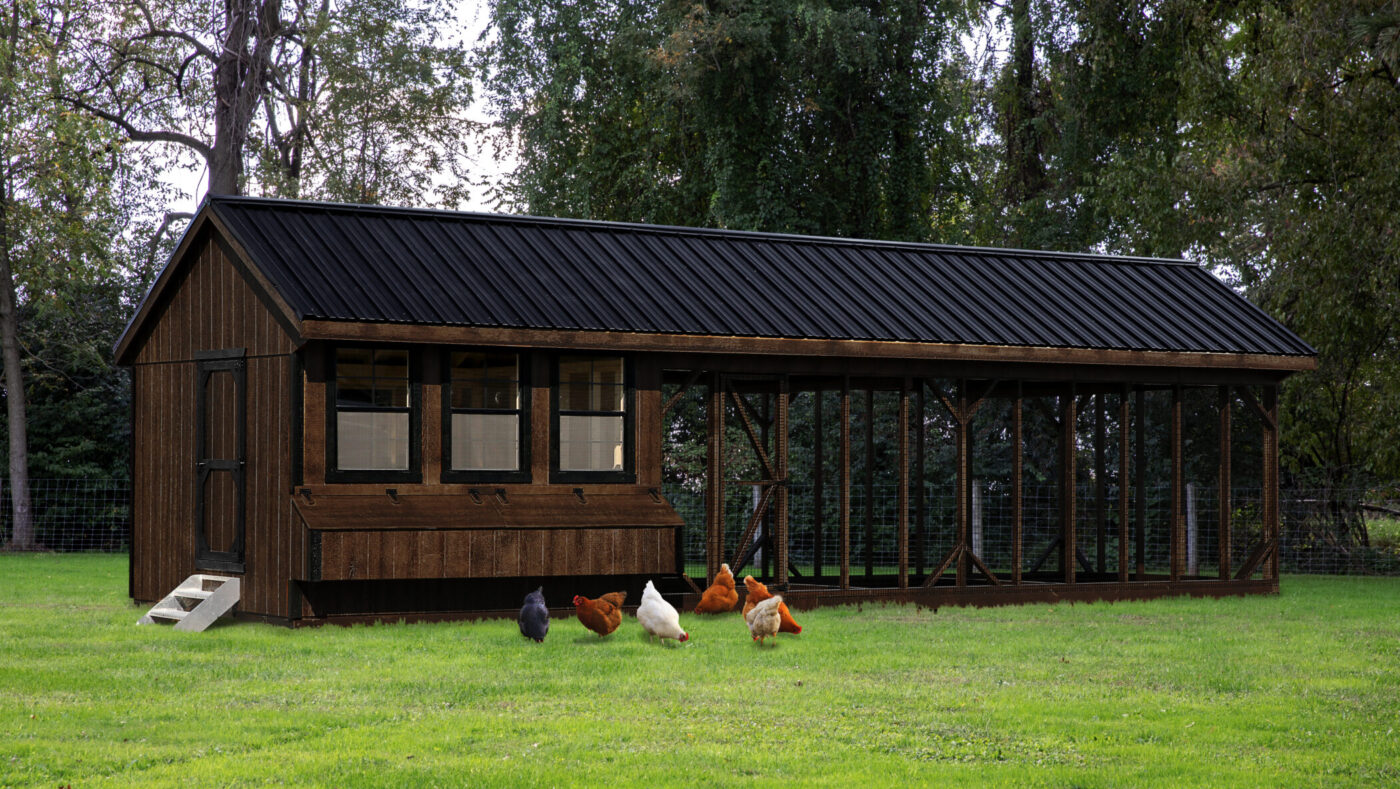 Q1032C chicken coops with 12 nesting boxes