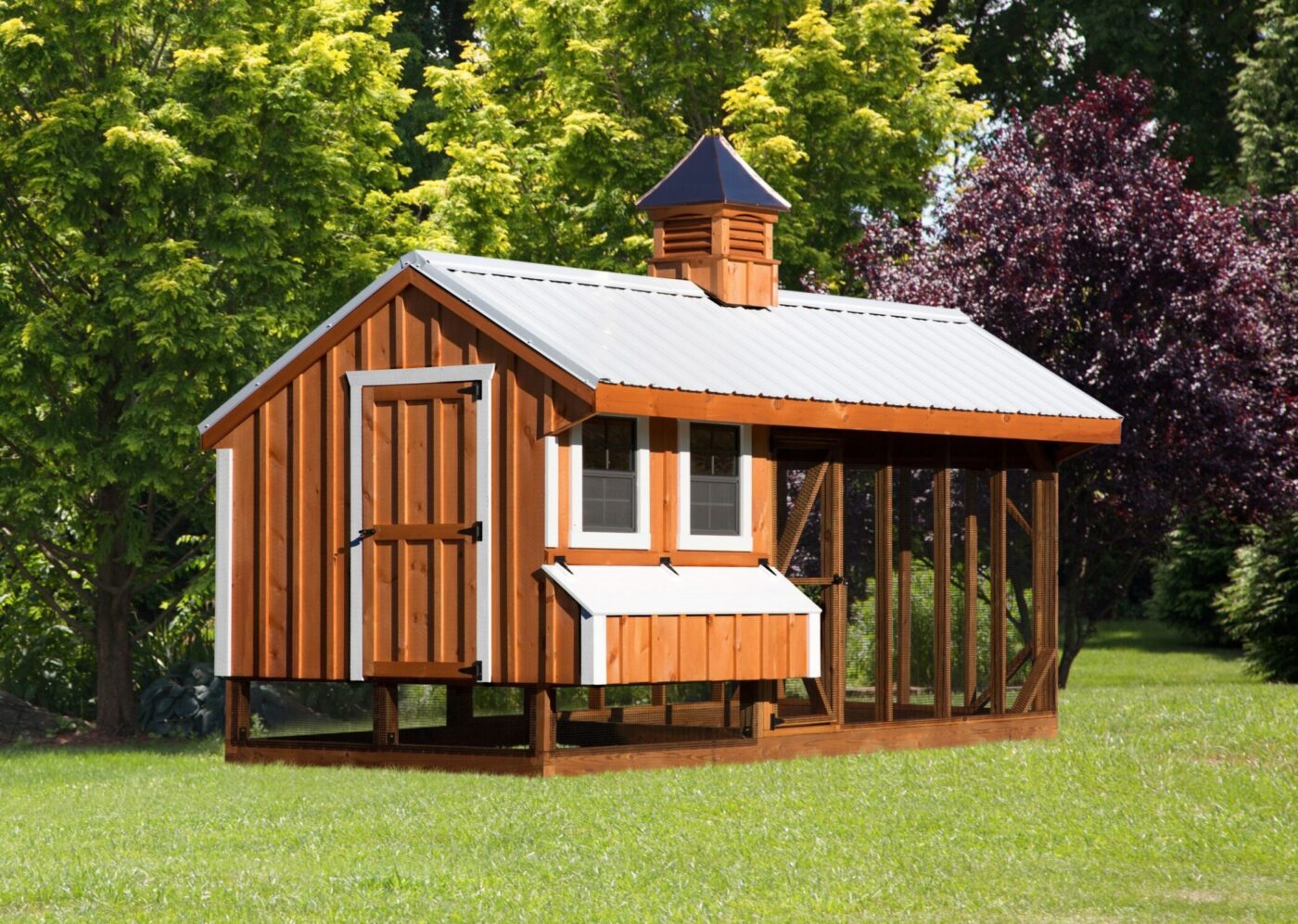 chicken coop with 6 nesting boxes Q716C