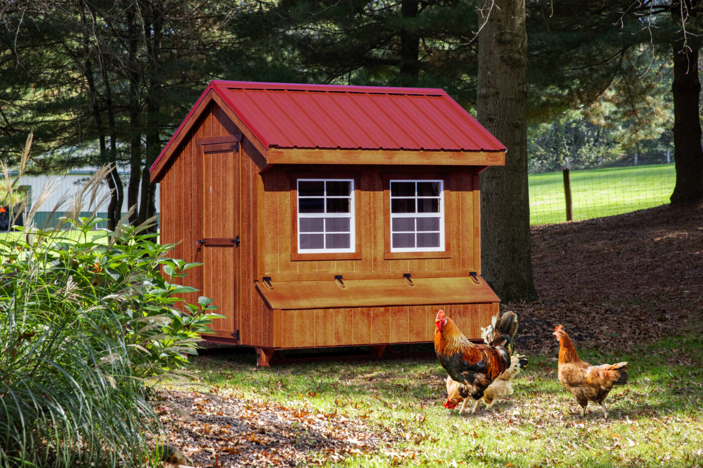 Q78 coops with 8 nesting boxes