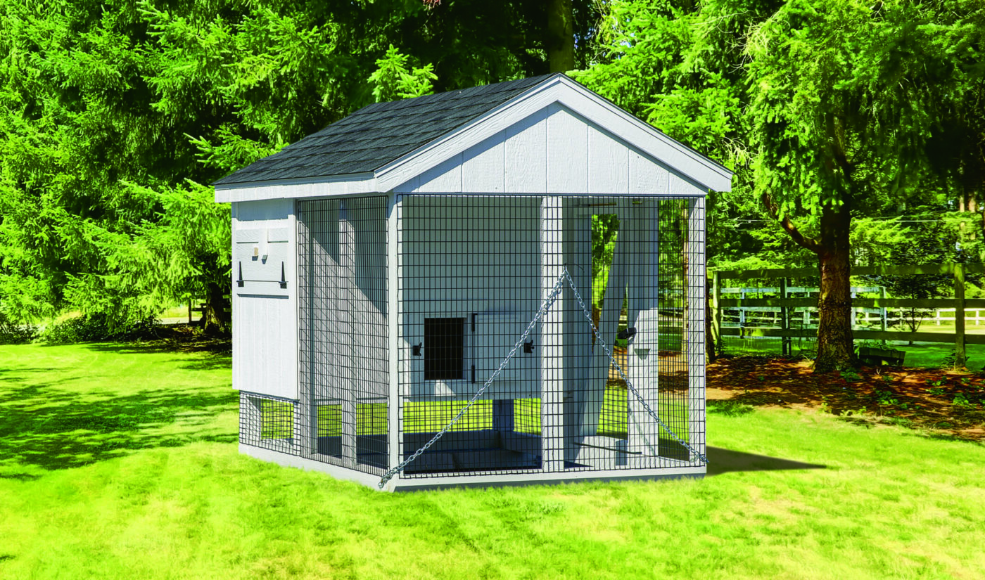 A57C chicken coop with 3 nesting boxes