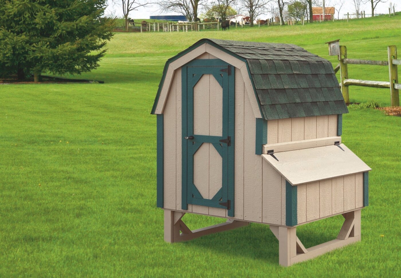 barn style chicken coops D44 4x4 Dutch With 4 nesting boxes