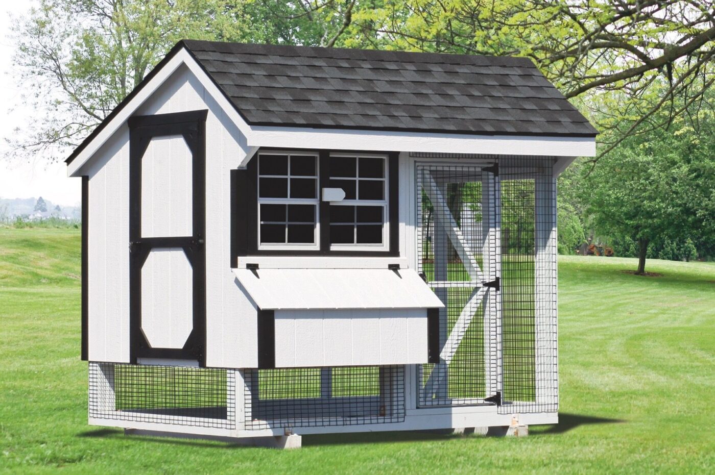 chicken coop and run 6x8 Combination Q68C