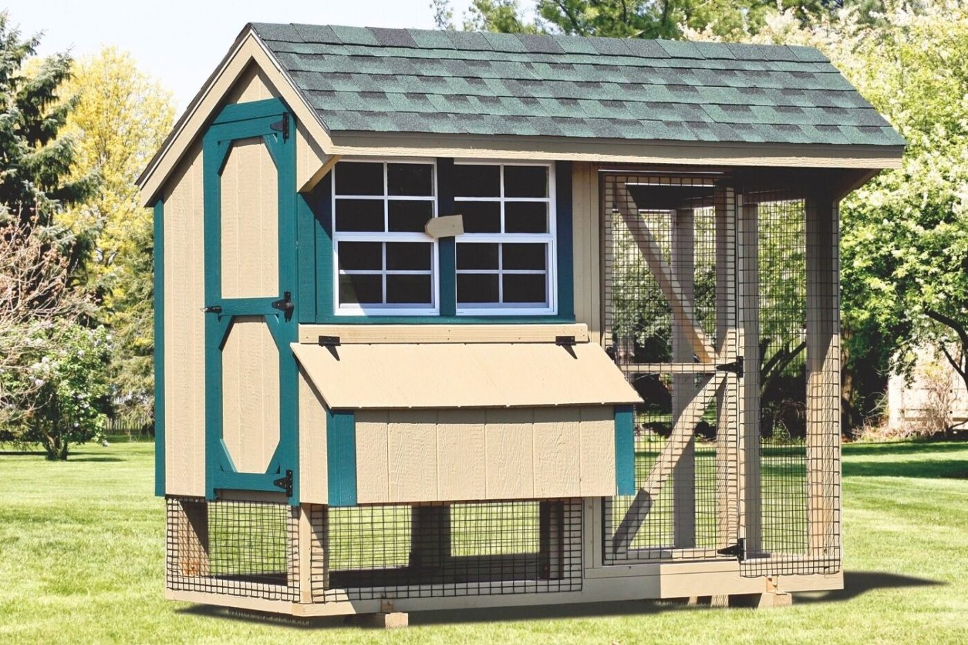can i have chickens in my backyard in CO (1)