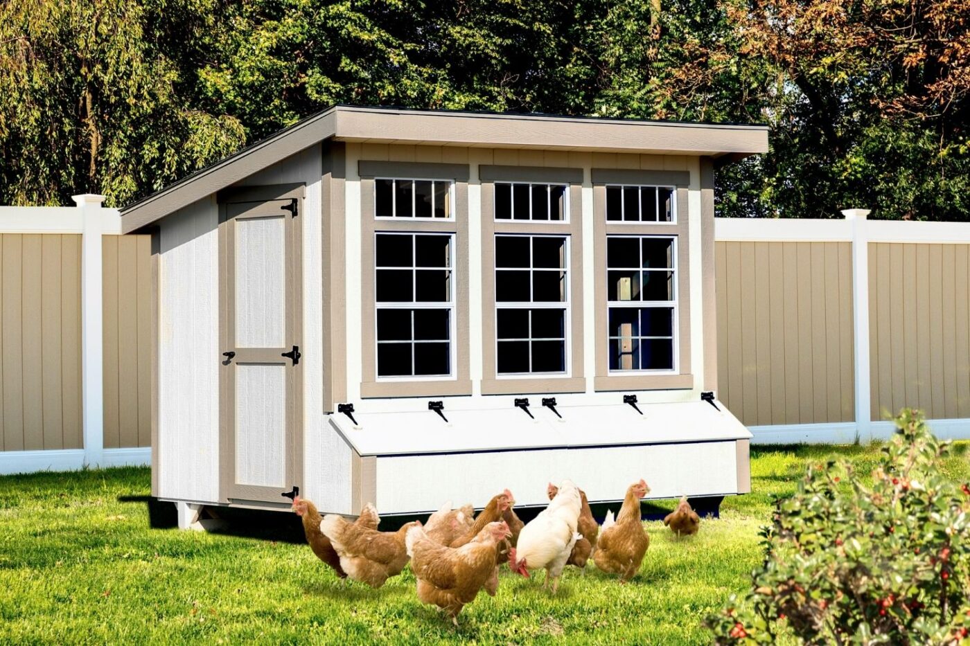 can I have chickens in my backyard in il