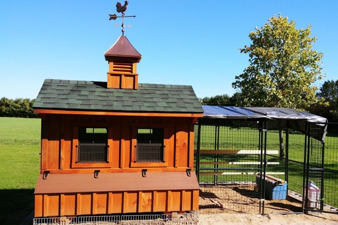 chicken coops in KY