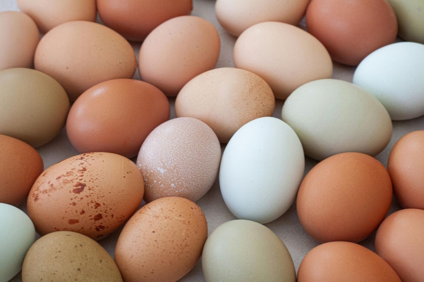 eggs (1)
