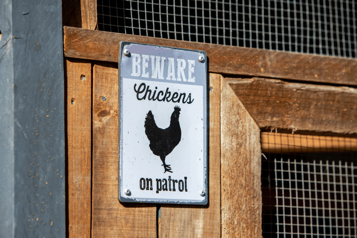 permit requirements for chicken coops in massachusetts