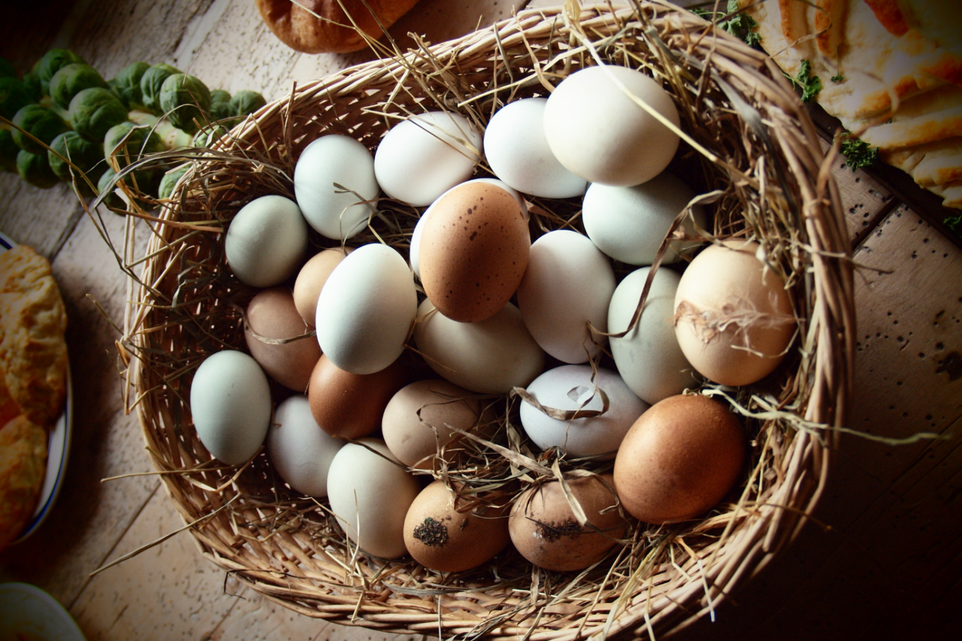 chicken egg regulations in maine