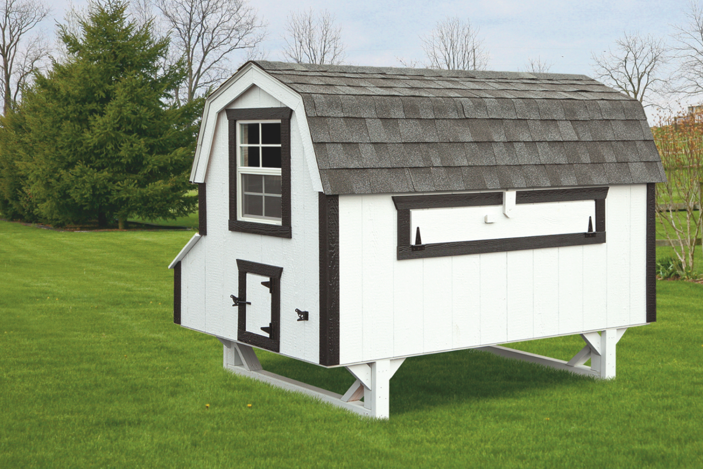 white and black dutch chicken coop in maine